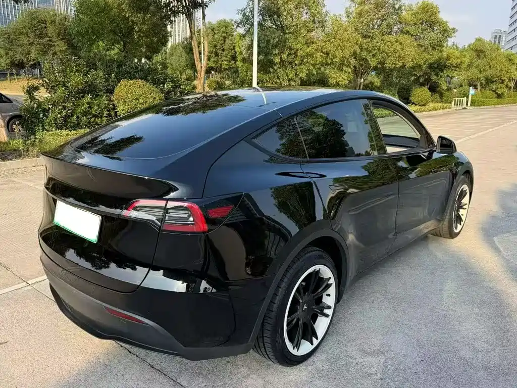 Tesla Model Y — миниатюра 9