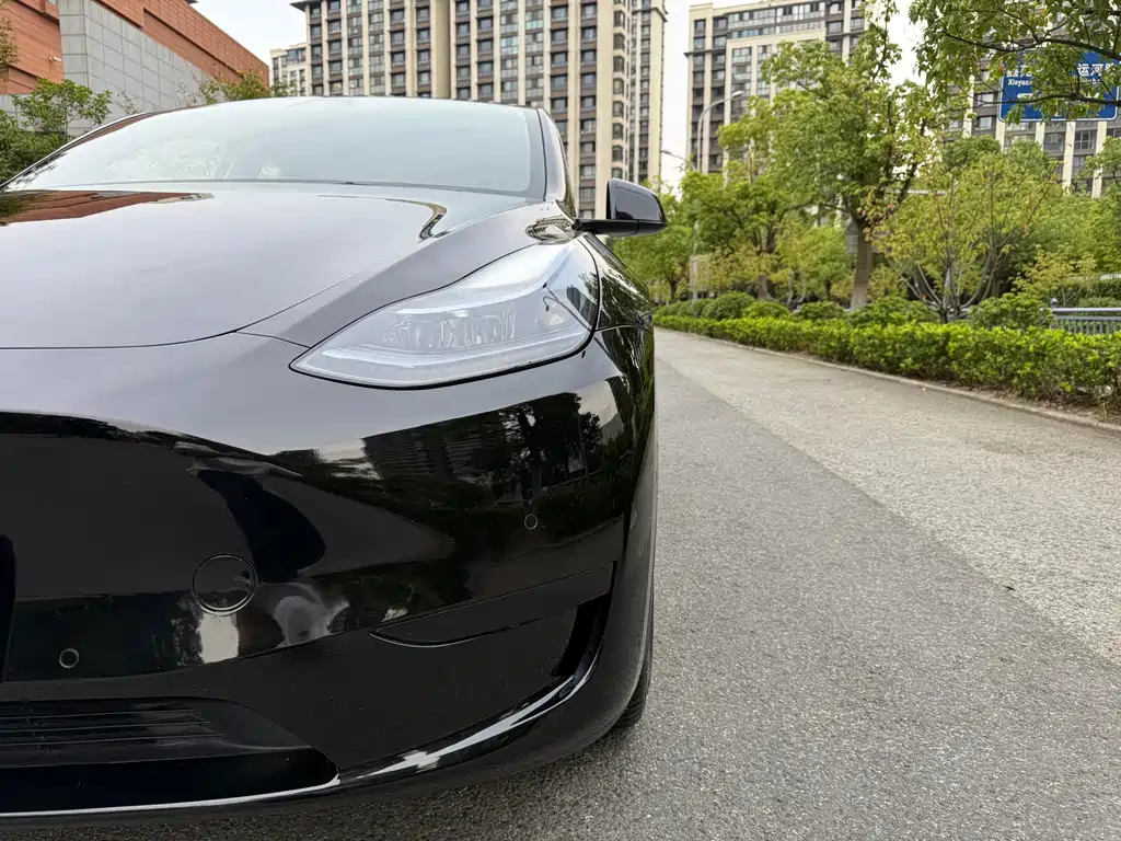 Tesla Model Y — миниатюра 8