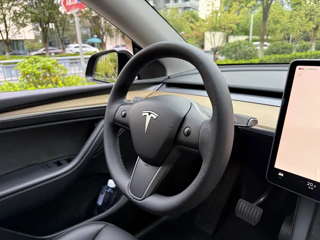 Tesla Model Y — миниатюра 14
