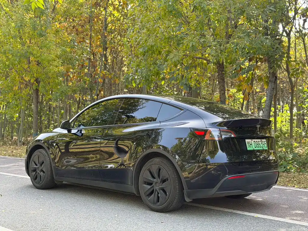 Tesla Model Y — миниатюра 7