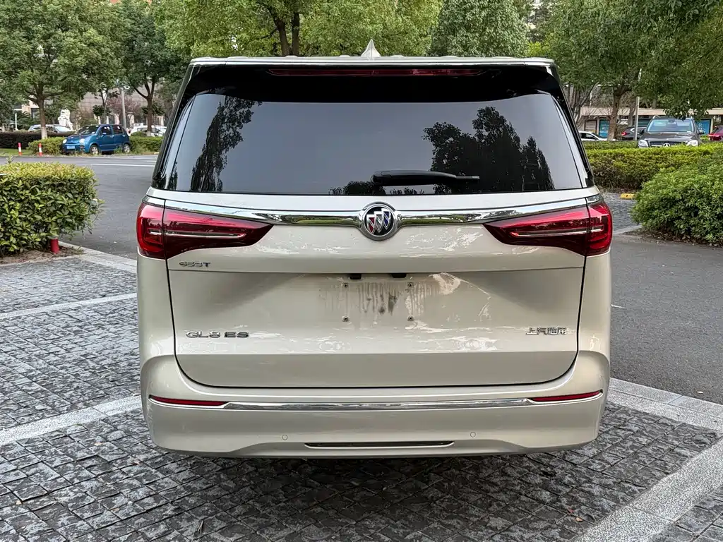 Buick GL8 — миниатюра 9