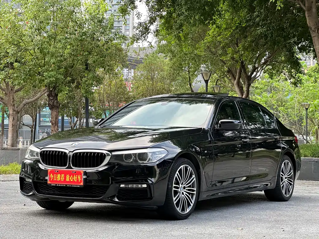 BMW 5 Series — миниатюра 3