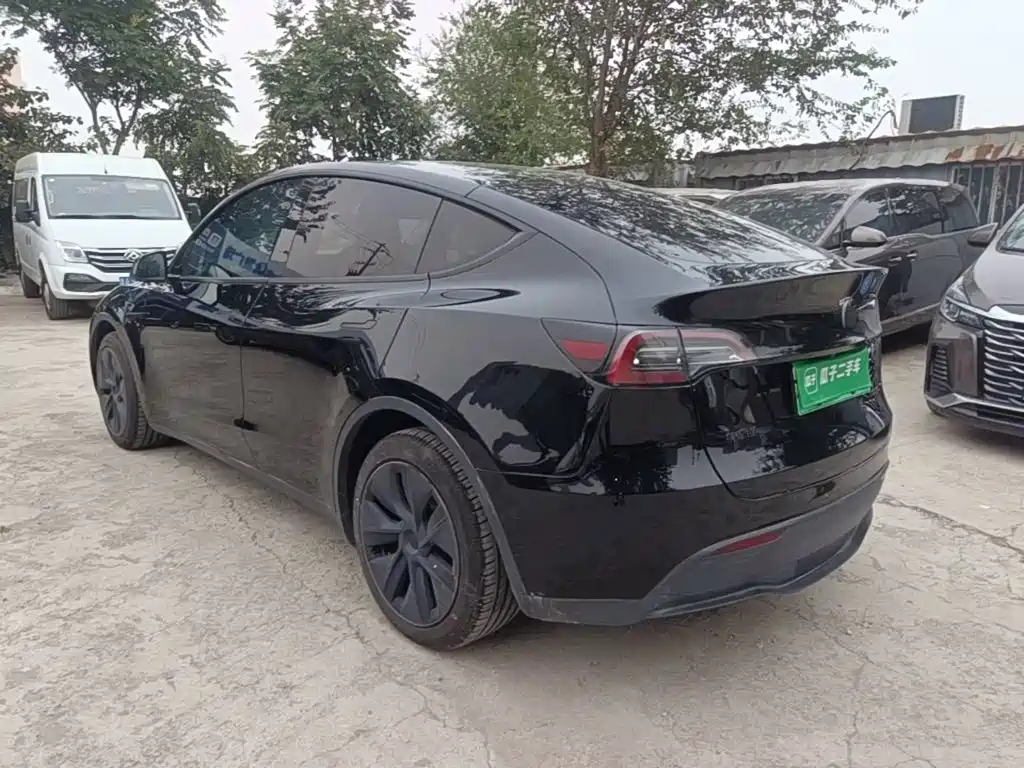 Tesla Model Y — миниатюра 5