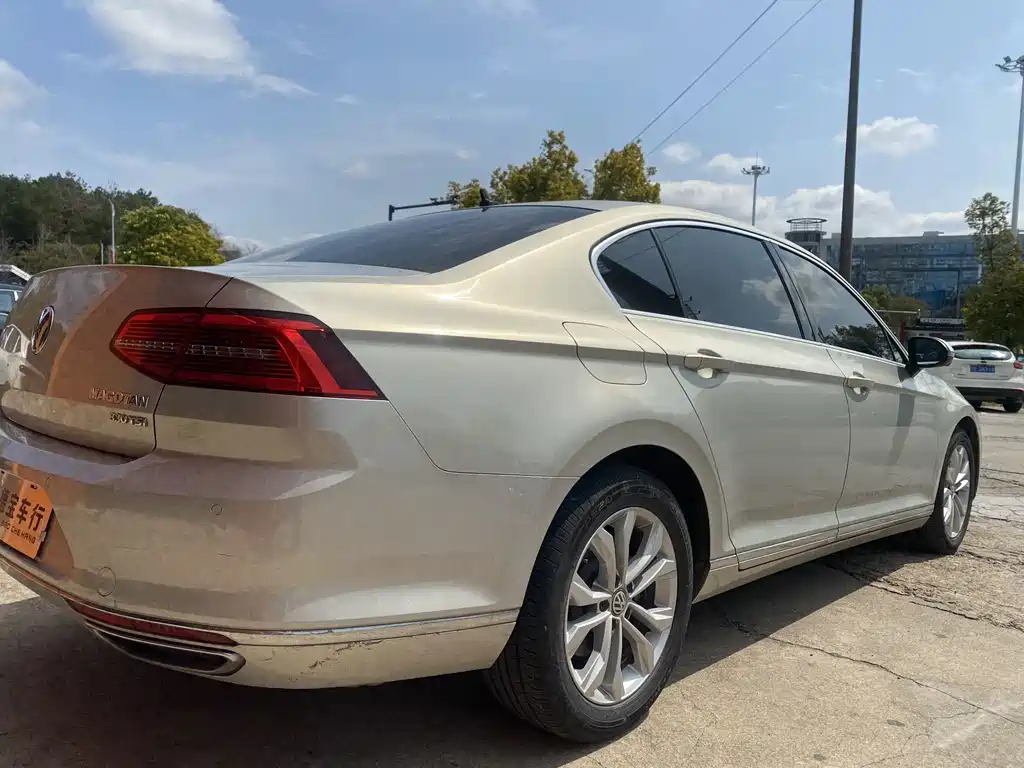 Volkswagen Magotan 2019 330TSI DSG Luxury VI