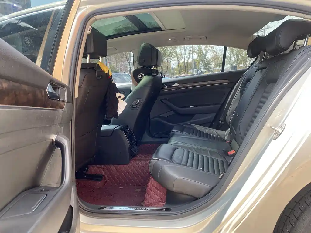 Volkswagen Magotan 2019 330TSI DSG Luxury VI