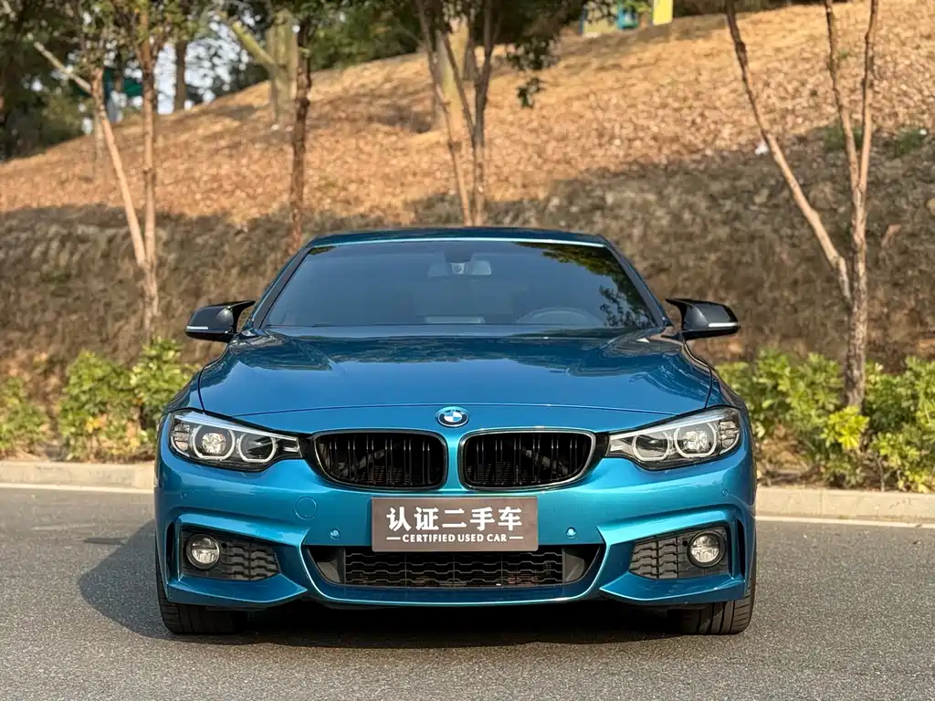 BMW 4 SERIES