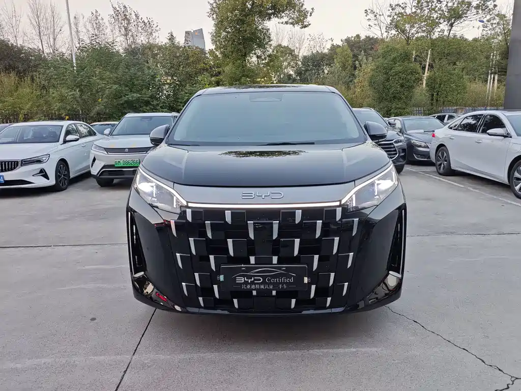 BYD M9 — миниатюра 2