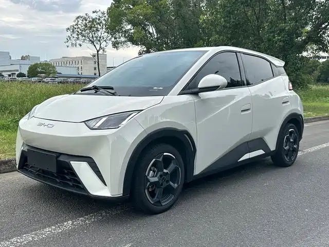 2024 BYD Seagull