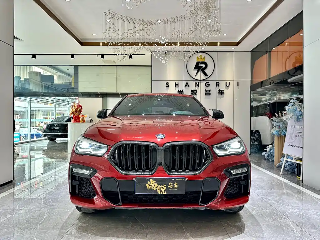 BMW X6 2020 xDrive30i M Sport