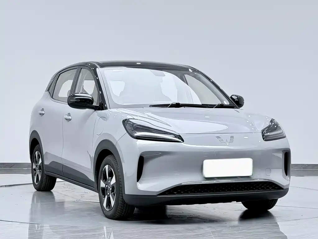 Wuling BinguoPLUS PLUS 2024 401km Flagship мест
