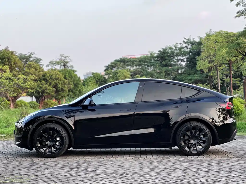 Tesla Model Y — миниатюра 16