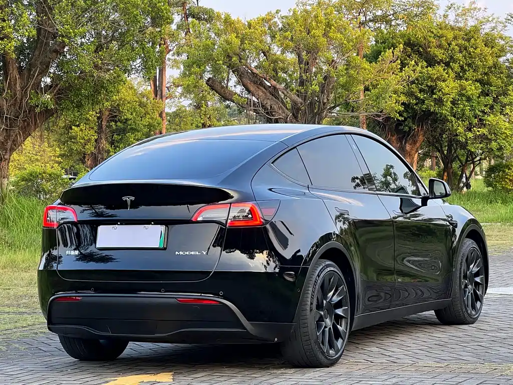 Tesla Model Y — миниатюра 4