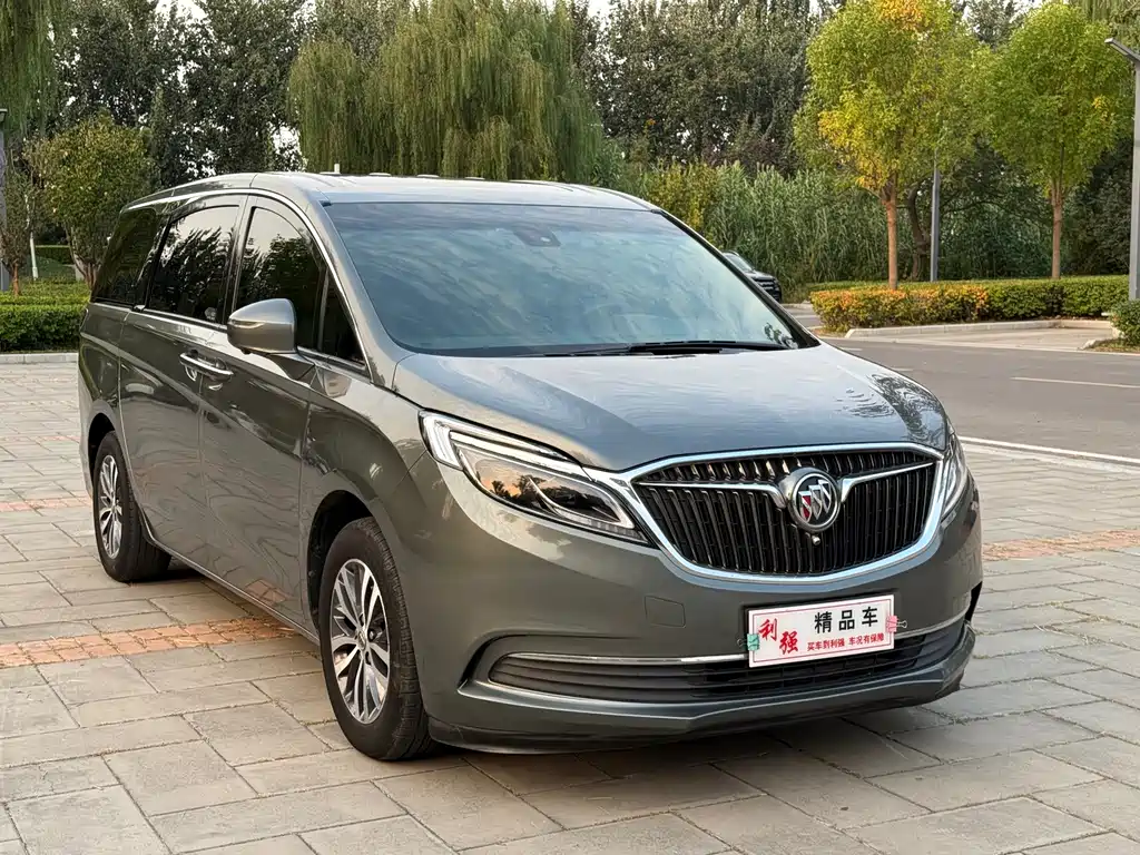 Buick GL8 — миниатюра 3