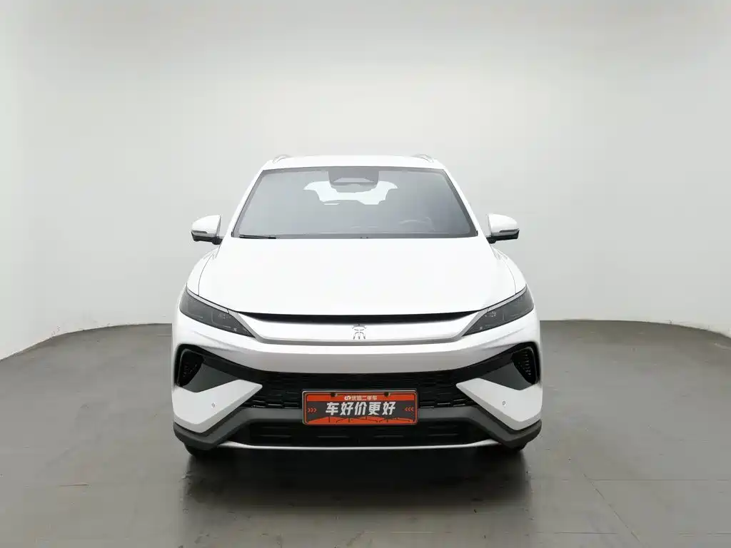 BYD Pro New Energy — миниатюра 3
