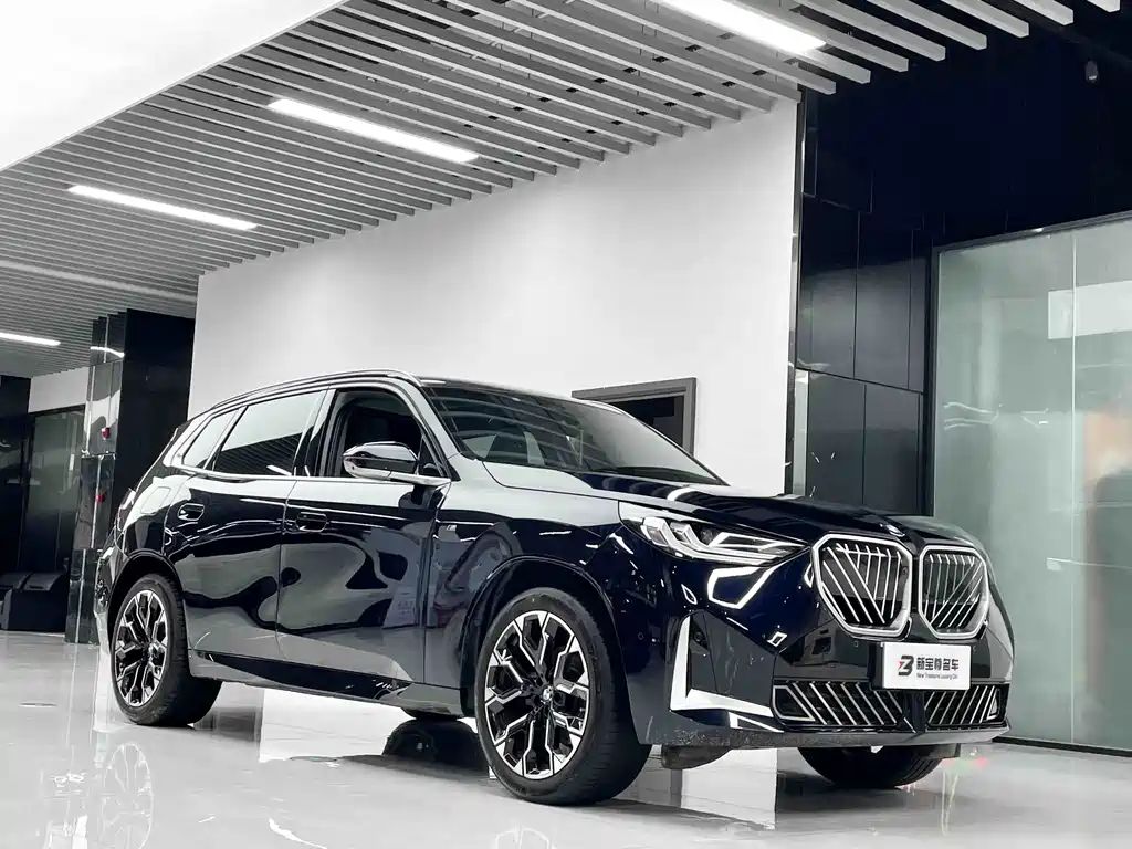 BMW X3 — миниатюра 3