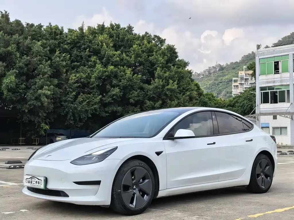 Tesla Model 3 2021