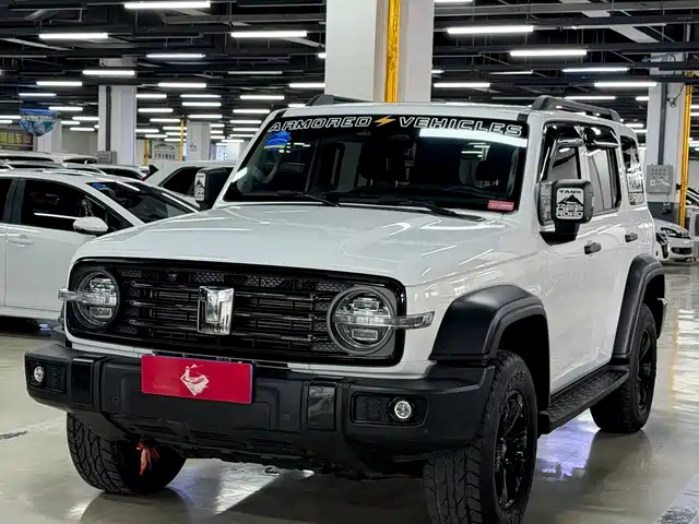 2023 TANK 300