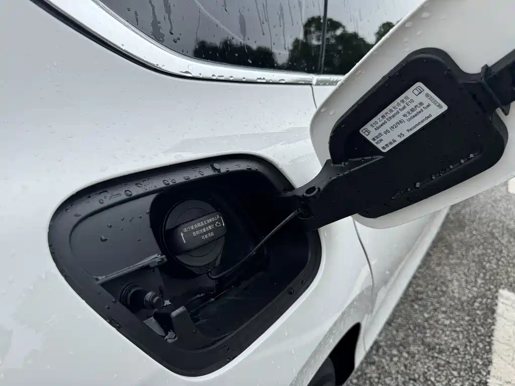 Volkswagen Lamando — миниатюра 27