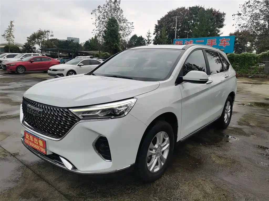HAVAL  M6