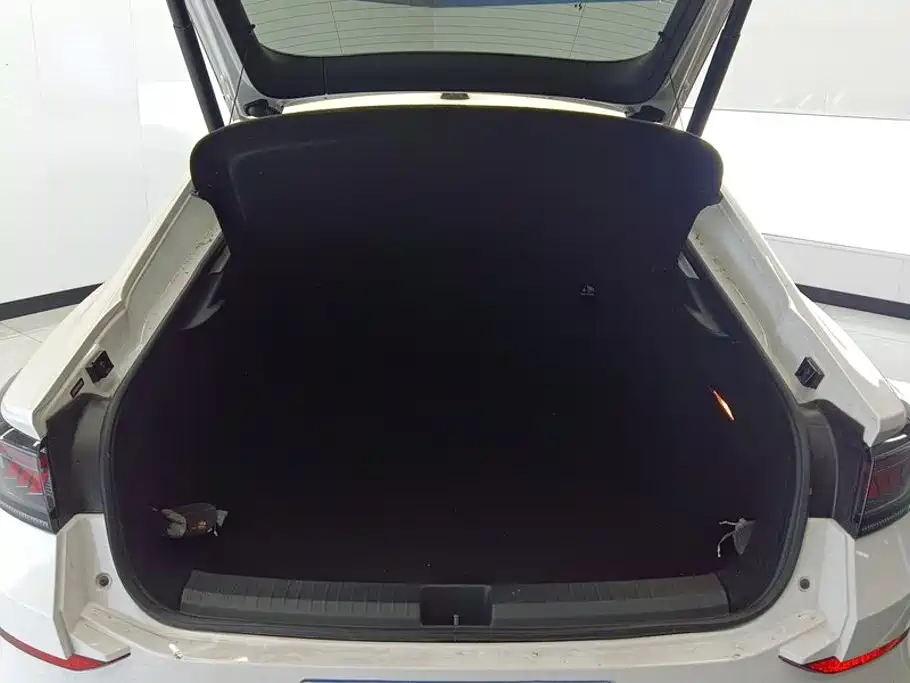 Volkswagen Lamando — миниатюра 4