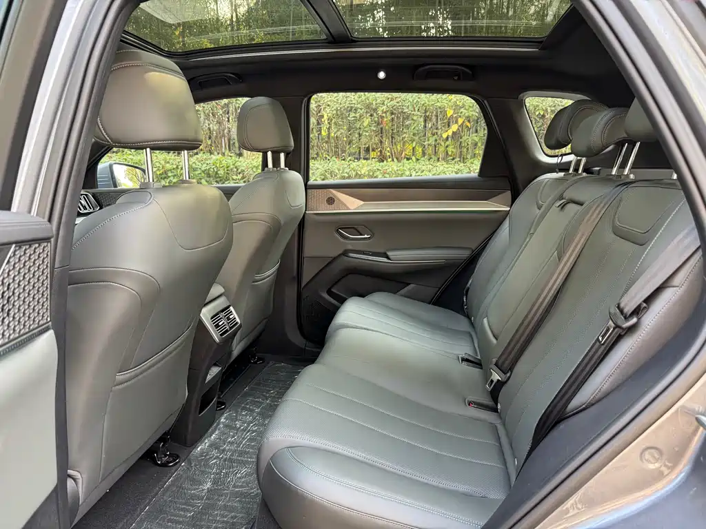 BYD SONGJIANG NEW ENERGY