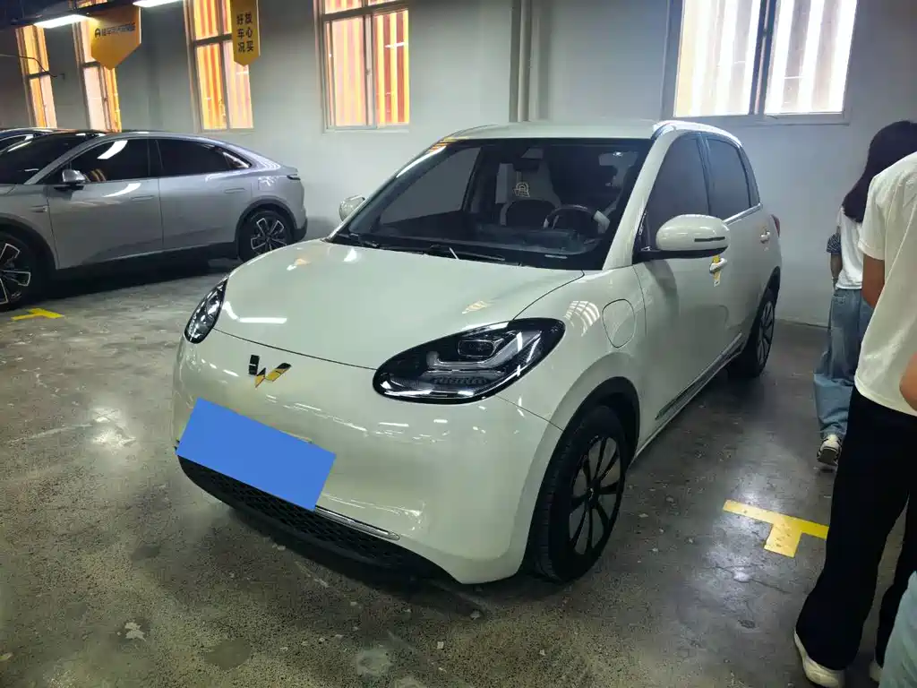Wuling Bingo 2024
