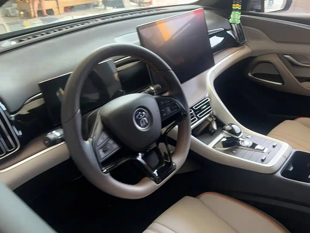 BYD Pro New Energy — миниатюра 12