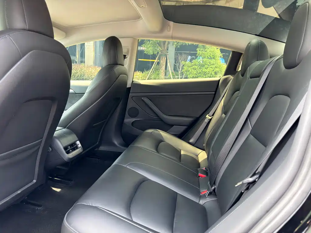 Tesla Model 3 — миниатюра 8