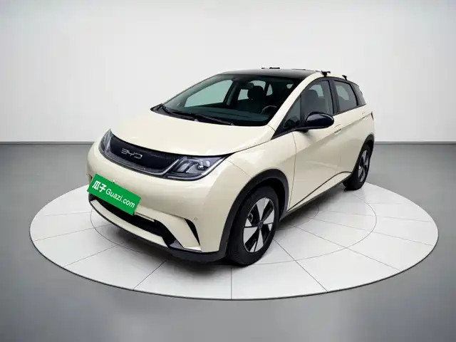 2024 BYD Dolphin