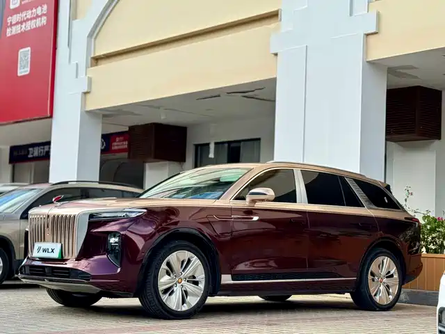 Hongqi E-HS 9 2021 510km — фото 1