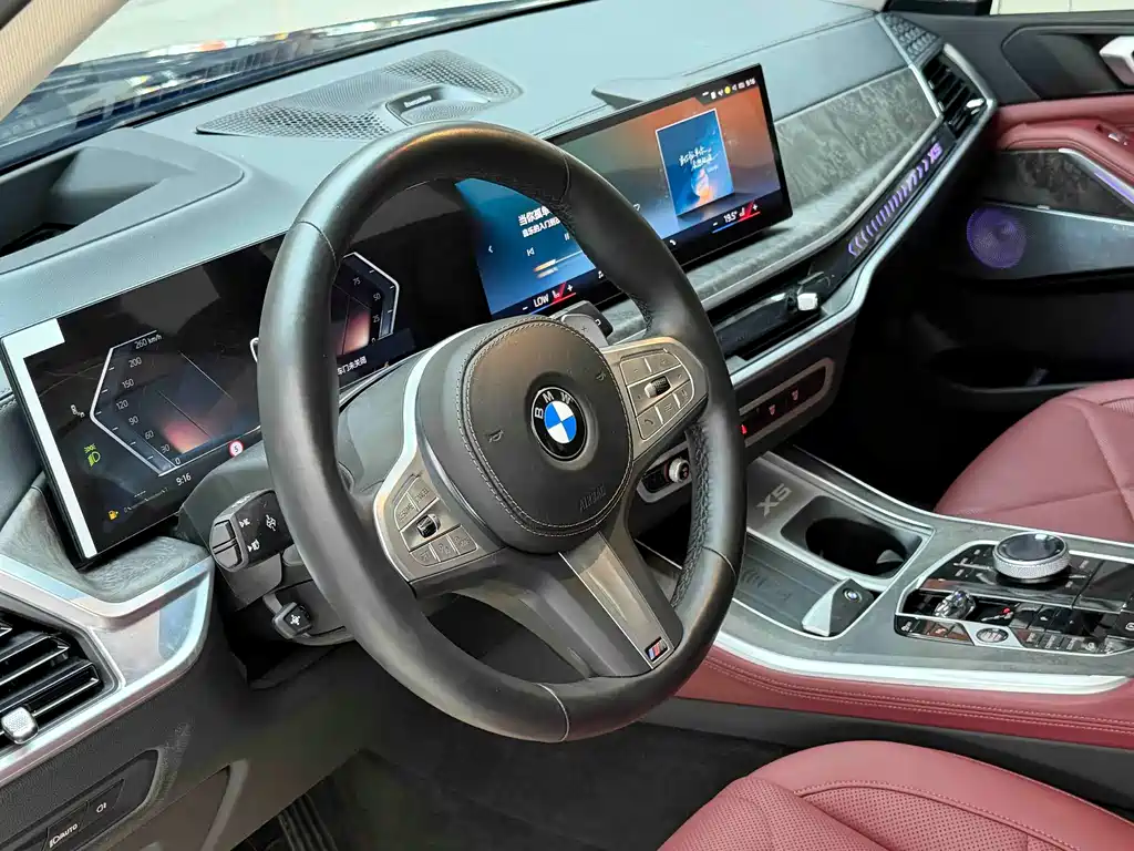 BMW X5 — миниатюра 7