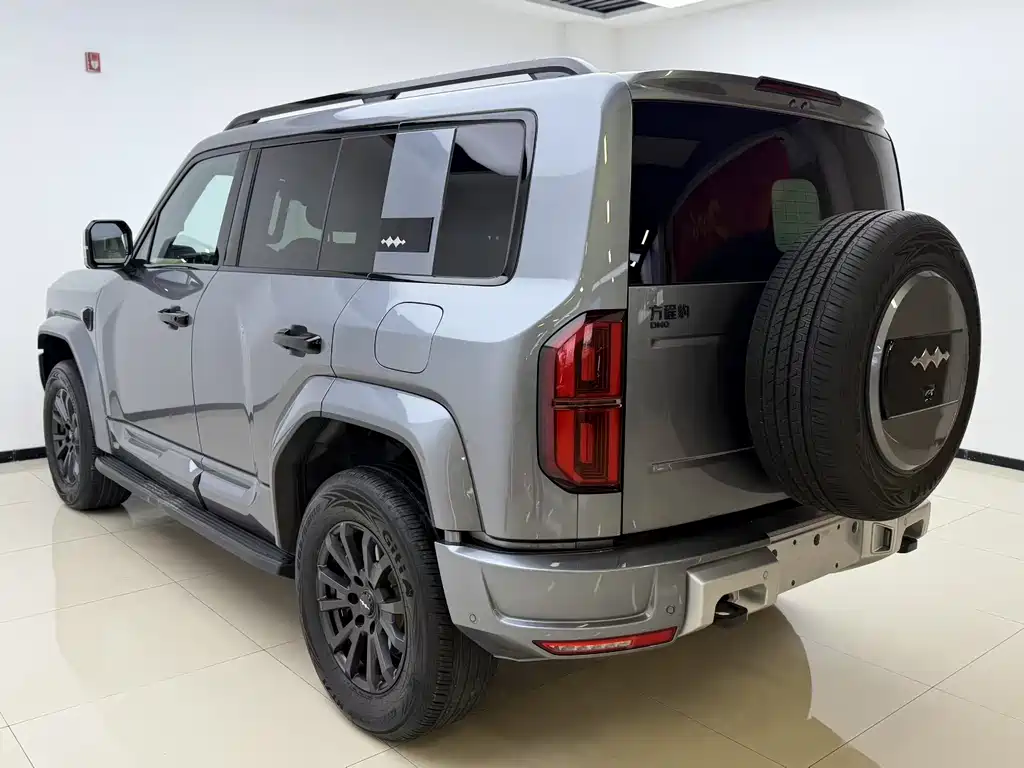 FANG CHENG BAO LEOPARD 5