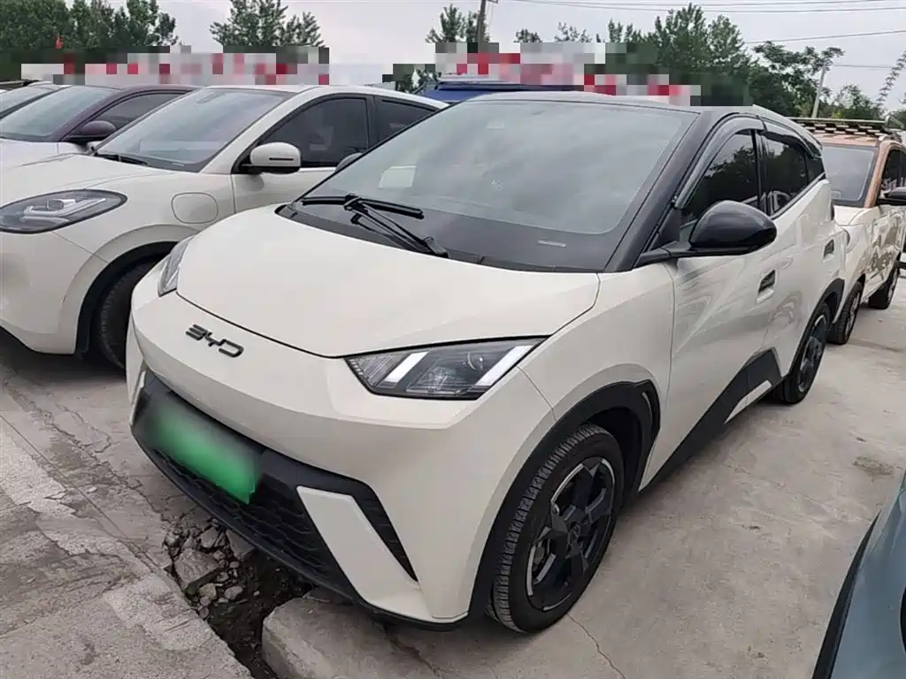 Byd Seagull 2024