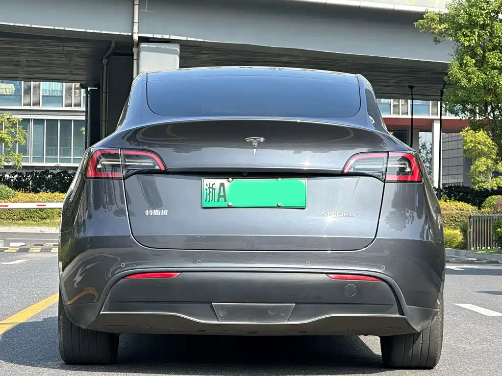 Tesla Model Y — миниатюра 5