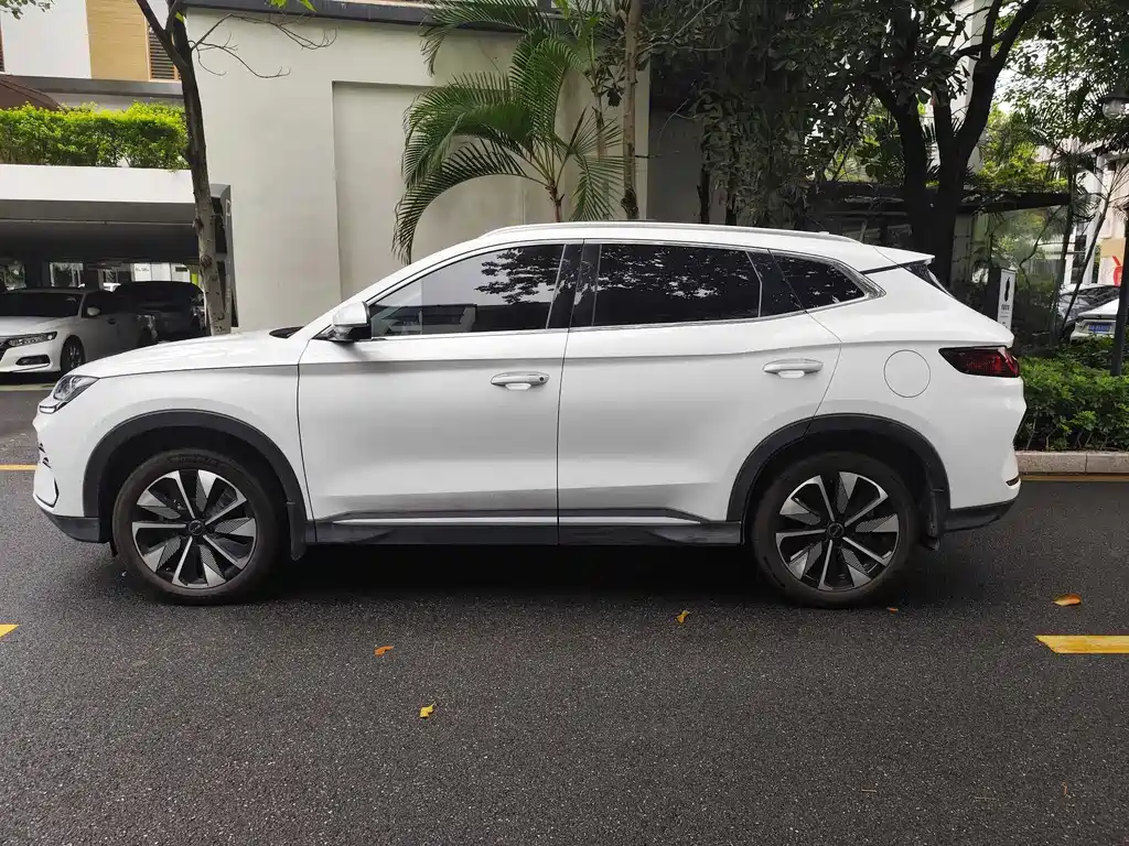 BYD SONGJIANG NEW ENERGY