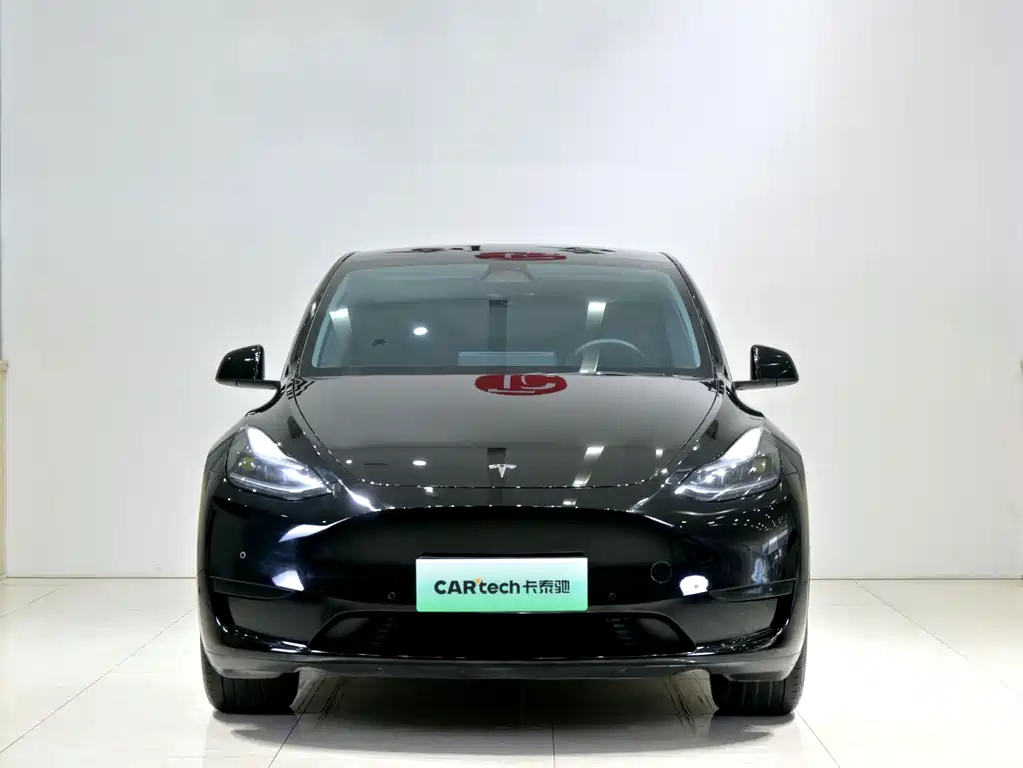 Tesla Model Y — миниатюра 2