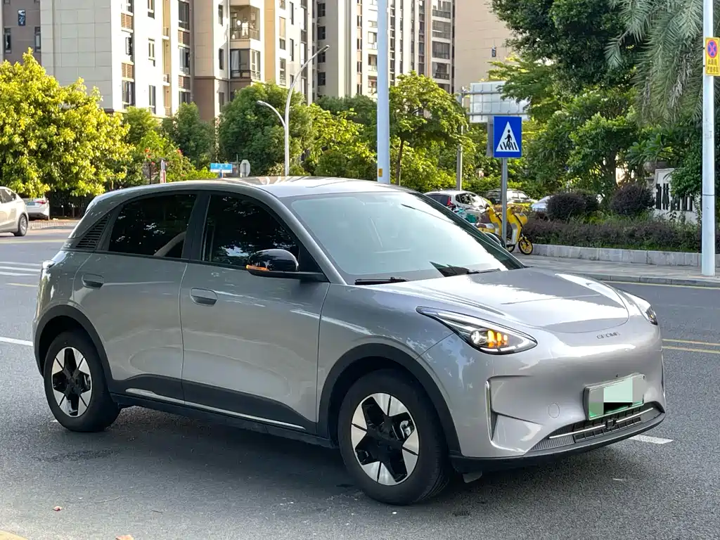 Geely Geome Xingyuan 2025 310km