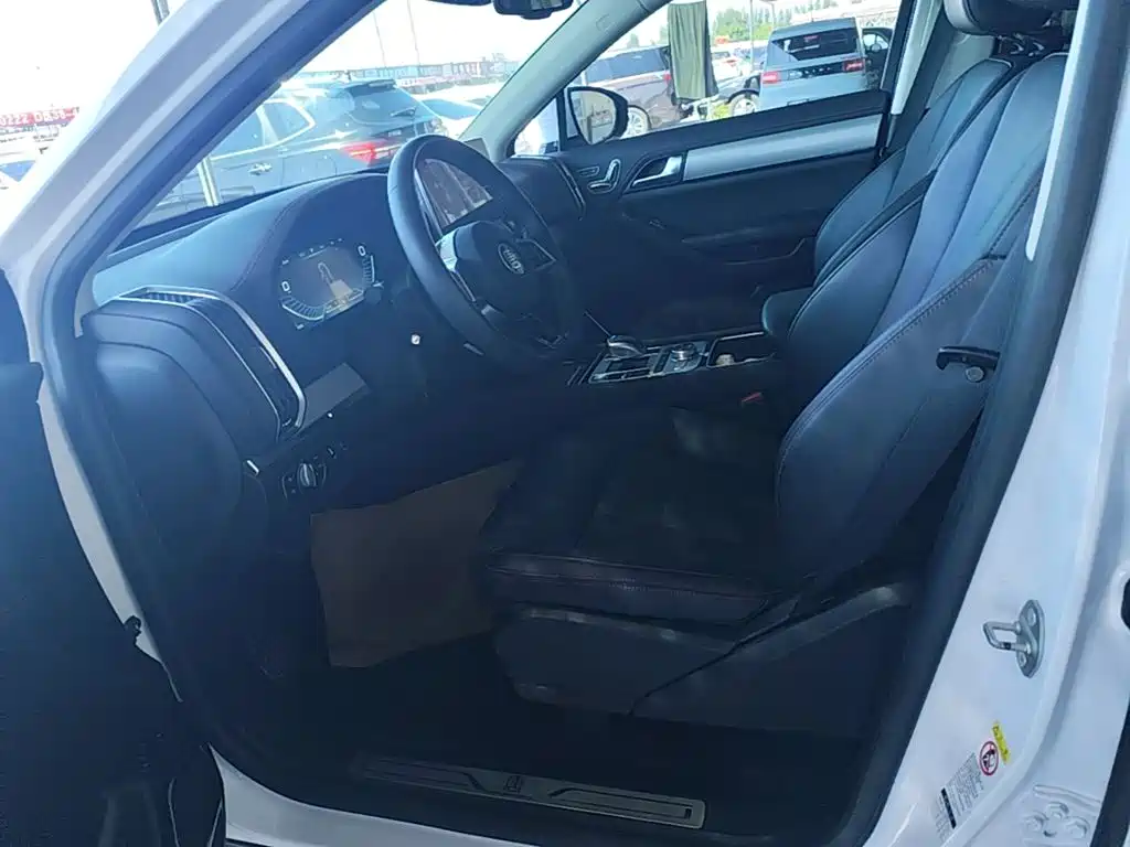 BYD Tang New Energy — миниатюра 15
