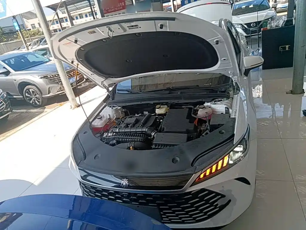BYD Qin PLUS — миниатюра 20