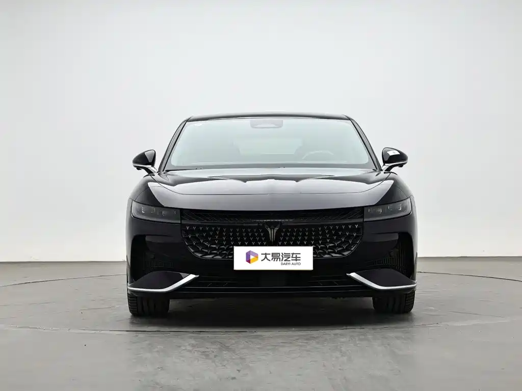 VOYAH Passion — миниатюра 2