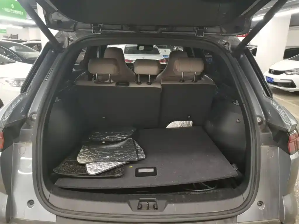 BYD Pro New Energy — миниатюра 19