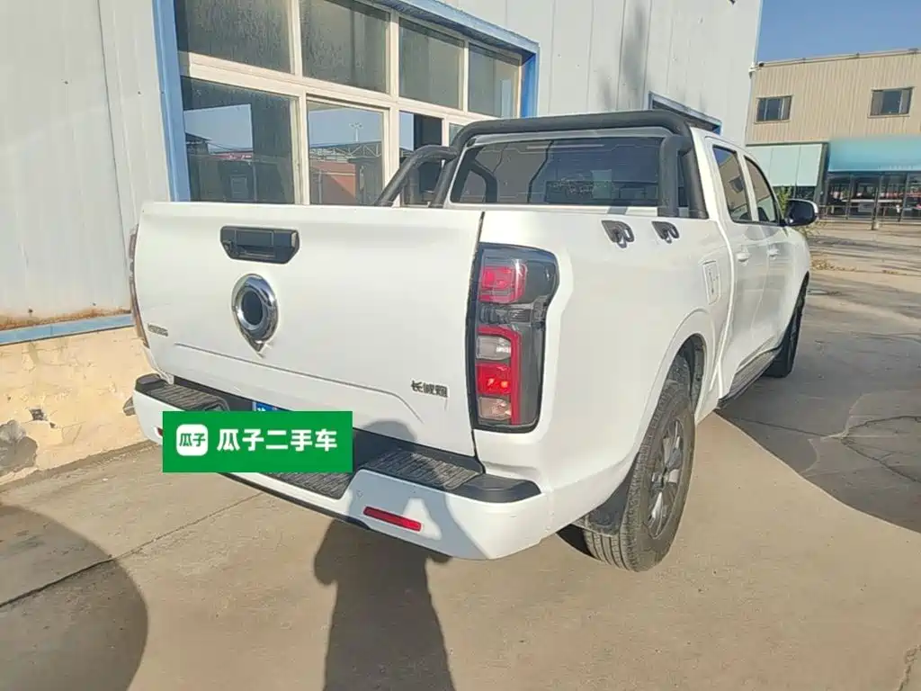 Great Wall Pao — миниатюра 7