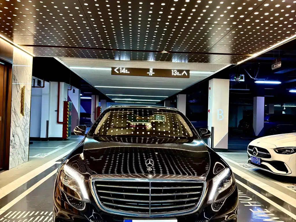 Mercedes-Benz S-Class S 400 L Luxury Type, фото 2