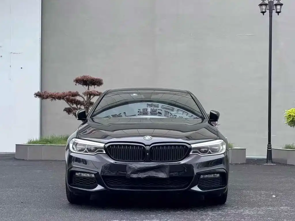BMW 5 Series — миниатюра 2