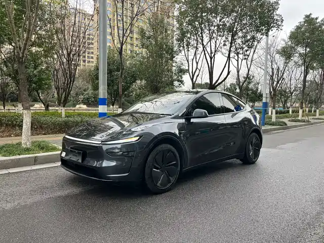 TESLA MODEL Y 2025