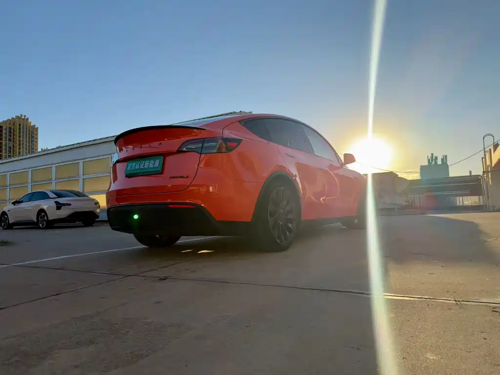 Tesla Model Y — миниатюра 7