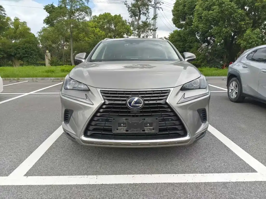 Lexus NX — миниатюра 2