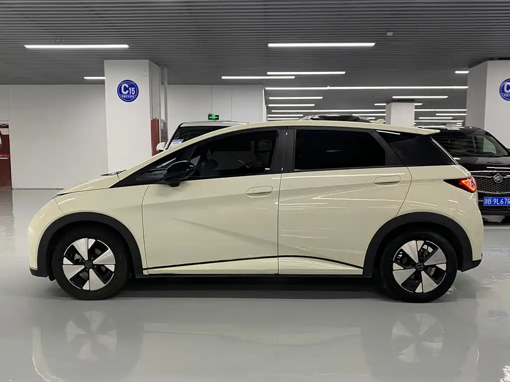 BYD Dolphin — миниатюра 4