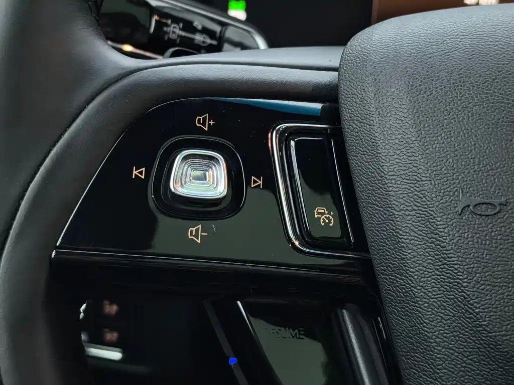 Lincoln Corsair 2.0T 4WD Premium Shine Edition, фото 33