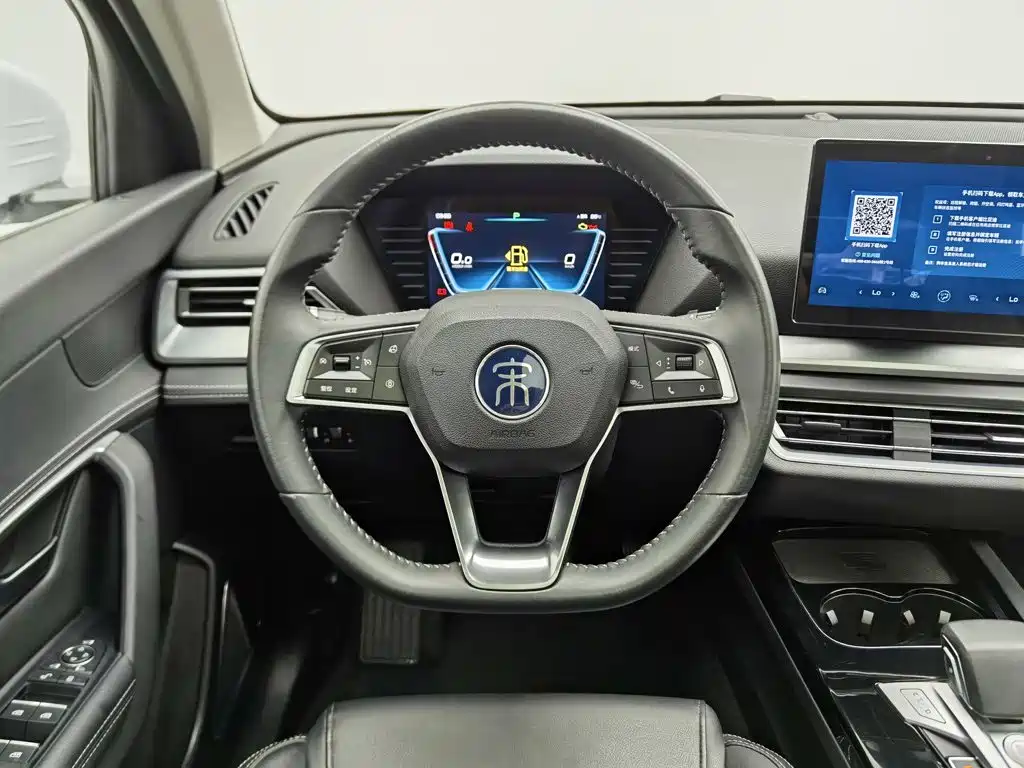 BYD Pro — миниатюра 11